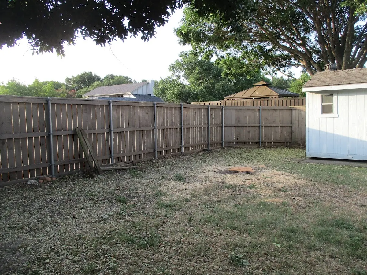 Cleared yard after professional tree removal in Lake Como